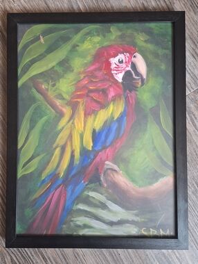 Original Red Macaw oil paint 9x12 framed